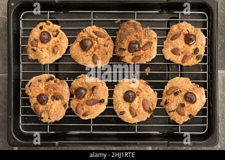 Saubere Reihen von hausgemachten Scones, fetten Racskals, die sich auf dem Rack abkühlen Stockfoto