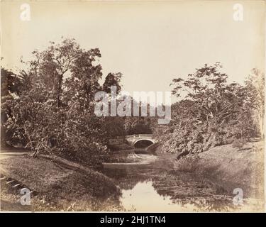 [Botanischer Garten, Kalkutta] 1850s Captain R. B. Hill British. [Botanischer Garten, Kalkutta] 287842 Stockfoto