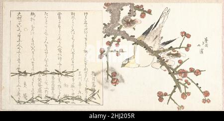 Buschsänger auf einem Pflaumenzweig (Ume ni uguisu) Anfang des 19th. Jahrhunderts Totoya Hokkei Japanisch. Buschsänger auf einem Pflaumenzweig (Ume ni uguisu) 54831 Stockfoto