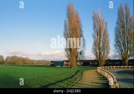 Hackney Marshes Pavilion, East London, South East England, im Winter Stockfoto