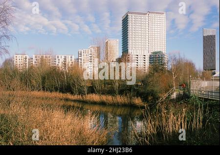 Neue Apartmentgebäude in Stratford, East London, Großbritannien, vom Wetlands Walk im Winter im Olympic Park aus gesehen Stockfoto