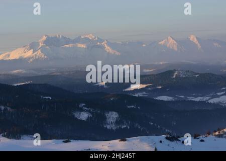 Winterlandschaft in den Bergen. Schneebedeckte Pisten. Blick auf die hohe Tatra von Wysokie Wierch Stockfoto