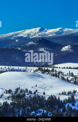 Saphirgebirge und Ausläufer im Winter in der Nähe von philipsburg, montana Stockfoto