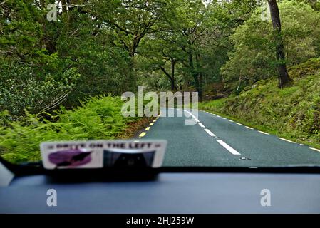 Ladies view, Seen von Killarney, Kerry County, Munster Provinz, Republik Irland, Europa Stockfoto