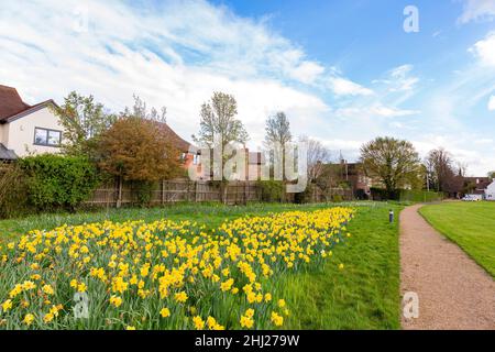 Schöne Orte rund um den berühmten Selwyn College an der University of Cambridge, Großbritannien Stockfoto