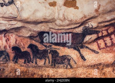 Steinzeit Höhlenmalereien von auroch (jetzt ausgestorbenen wilden Stier) und Dun Pferd, Lascaux Höhlen, Perigord, Montignac, Dordogne, Frankreich Stockfoto