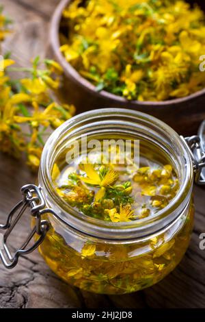 Zubereitung von Johanniskraut-Öl aus frisch blühender Hypericum perforatum-Pflanze (türkischer Name; sari kantaron yagi) Stockfoto