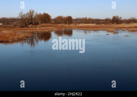 Schöne Aussicht auf den See, Himmel, Schilf. Spiegelung von Bäumen im Wasser. Stockfoto
