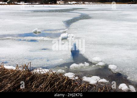 Ein großer Riss, der durch schmelzendes Eis an einem Teich läuft. Stockfoto