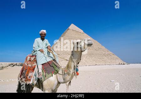 Mann, der ein Kamel vor der Pyramide von Khepre, Gizeh, Ägypten, reitend Stockfoto