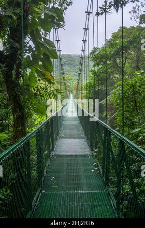 Hängebrücke im Selvatura Park, Monteverde, Provinz Guanacaste, Costa Rica Stockfoto