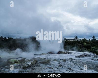 Aktives Geothermalfeld, Whakarewarewa Thermal Valley, Rotorua, Neuseeland Stockfoto