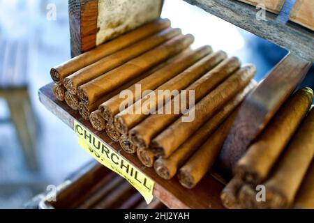 Handgerollte kubanische Zigarren zum Verkauf auf einem offenen Markt in Old Town Key West, Florida. Nahaufnahme von Churchill-Zigarren mit offenem Ende, auf dem Tabak zu sehen ist. Stockfoto