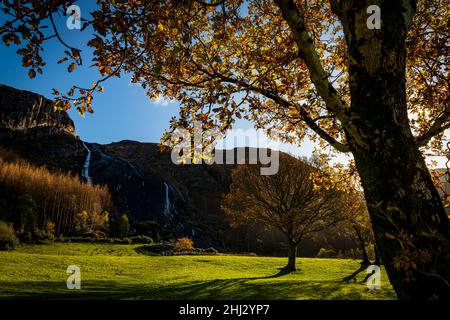 Wasserfall in Herbstlandschaft, Gleninchaquin Park, Kenmare, County Kerry, Irland Stockfoto