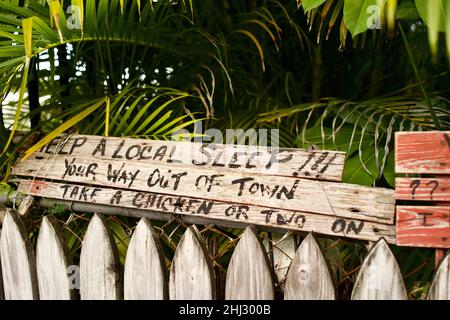 Humorvolles Zeichen in Key West, Florida, FL USA. „Take a Chicken“ Island Urlaubsziel. Stockfoto