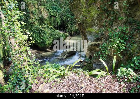 Cascate delle Marmore, das Naturschutzgebiet der Wasserfälle von Marmore, Wanderwege und Naturpfade Stockfoto