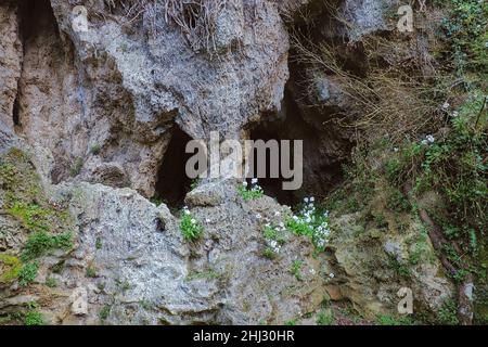 Cascate delle Marmore, das Naturschutzgebiet der Wasserfälle von Marmore, Wanderwege und Naturpfade Stockfoto