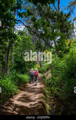 Zwei Frauen auf der Levada-Wanderung von Camacha zum Botanischen Garten in Funchal, Madeira, Portugal Stockfoto