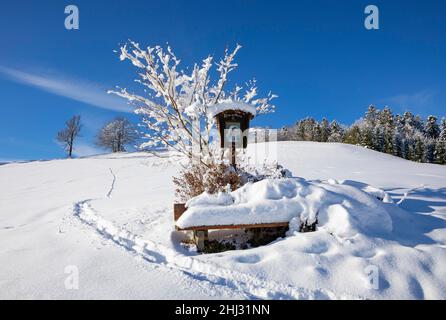 Schneebedeckter Wegweiser in Mondseeland, Mondsee, Salzkammergut, Oberösterreich, Österreich Stockfoto