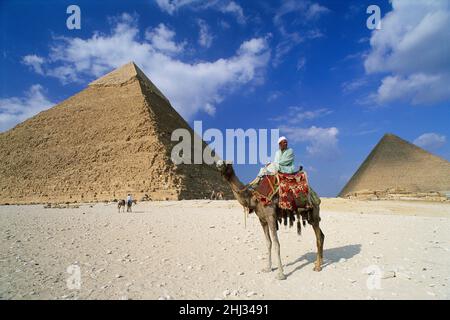 Mann auf einem Kamel vor den Pyramiden von Gizeh, Gizeh, Ägypten Stockfoto