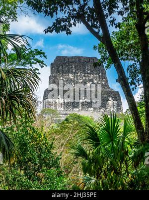 Tempel IV auch bekannt als der zweiköpfige Schlangentempel in der Maya-Stadt Tikal, Guatemala Stockfoto