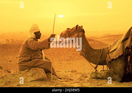 Ägyptischer Mann, der bei Sonnenaufgang an einem Kamel in Ägypten sitzt Stockfoto