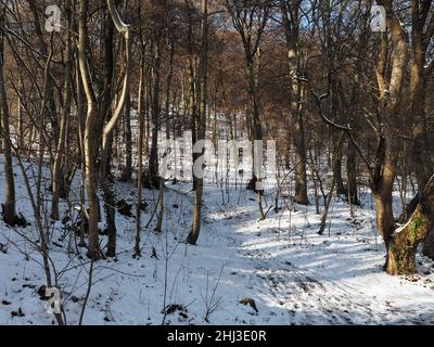 Das östliche Ende des Oberen Philosophenweges im Winter in Heidelberg. Der Boden ist mit leichtem Schnee bedeckt. Stockfoto