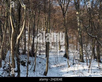 Das östliche Ende des Oberen Philosophenweges im Winter in Heidelberg. Der Boden ist mit leichtem Schnee bedeckt. Stockfoto