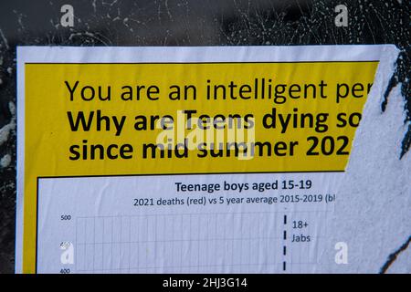 Weybridge, Surrey, Großbritannien. 26th. Januar 2022. Ein Anti-Vaxxer-Schild, das an einem Fenster angebracht wurde, fragt, warum Jugendliche sterben. Quelle: Maureen McLean/Alamy Stockfoto