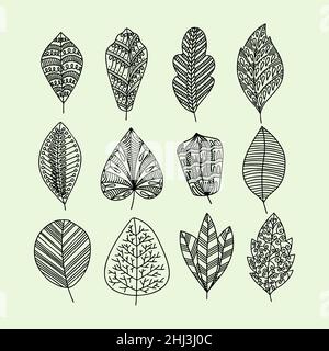 Satz von handgezeichneten Pflanzenblättern. Vektor-Doodle-Stil. Stock Vektor