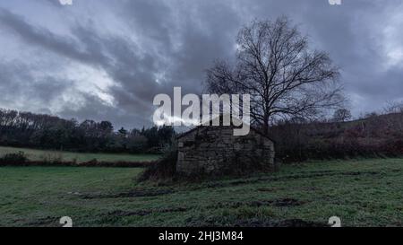 Die Sonne geht irgendwo in Galicien unter, wo man ein altes Gebäude neben einem Baum und grünen Wiesen sehen kann Stockfoto