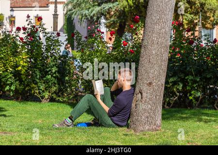 ALCALA DE HENARES, MADRID, SPANIEN - 22. OKTOBER 2017: Kleiner Junge sitzt auf einem Baum und macht eine Pause, um im Park ein Buch zu lesen Stockfoto