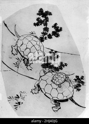 Schildkröten des 18th.–19th. Jahrhunderts, die Katsushika Hokusai Japanern zugeschrieben werden. Schildkröten. Wird Katsushika Hokusai zugeschrieben (Japanisch, Tokio (Edo) 1760–1849 Tokio (Edo)). Japan. 18th–19th Jahrhundert. Tinte auf Papier. Edo-Zeitraum (1615–1868). Gemälde Stockfoto