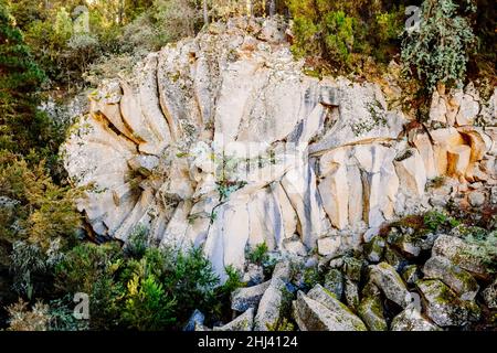 Piedra de la Rosa, merkwürdige Bildung eines abgekühlten Lavastroms in Form von Blütenblättern, auf Teneriffa. Stockfoto