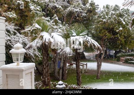 Belek, Antalya, Türkei - 26. Januar 2022: Starker Schneefall an der Mittelmeerküste. Schneesturm und weiß bedeckte Palmen. Leere Strände und Hotel Stockfoto