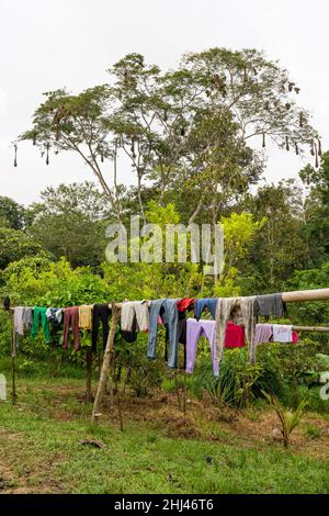 Wäschetrocknung an einer Linie und Nester von Orpendolas in der indigenen Gemeinde Yagua, Amacayacu-Naturpark, kolumbien, amazonas. Stockfoto