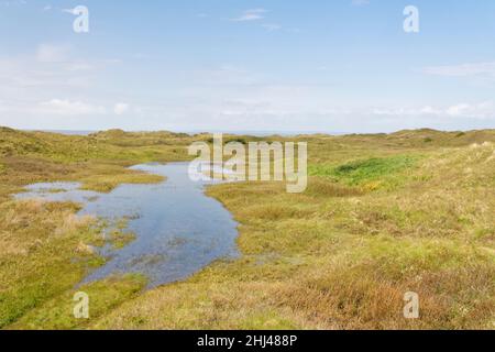 Küstensanddünen und eine überflutete Dünenlandschaft, Kenfig NNR, Glamorgan, Wales, Vereinigtes Königreich, Mai. Stockfoto