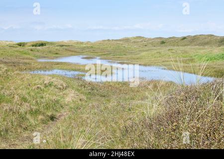 Küstensanddünen und eine überflutete Dünenlandschaft, Kenfig NNR, Glamorgan, Wales, Vereinigtes Königreich, Mai. Stockfoto