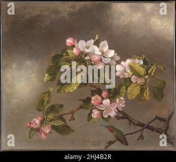 Hummingbird and Apple Blossoms 1875 Martin Johnson Heade American Als Mitglied der Hudson River School war Heade einzigartig, indem er der Landschaft und dem Stillleben während seiner gesamten Karriere gleichermaßen Aufmerksamkeit schenkte. Er widmete sich der Naturgeschichte und malte erstmals Apfelblüten um 1865, als er sie in seine umfangreiche Werkserie mit Kolibris in verschiedenen Lebensräumen einschloss. In diesem Beispiel thront der Kolibri auf einem unteren Ast und wird, wie vom englischen Kritiker John Ruskin empfohlen, gegen den Himmel silhouettiert. Die Blüten erscheinen frisch von der Natur studiert und haben einen Seufzer Stockfoto