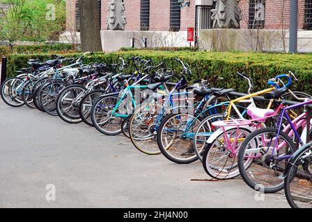 Auf dem Campus der Harvard University sind Fahrräder gebunden Stockfoto