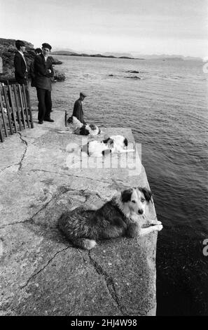 Die letzten 23 Bewohner der Insel Inishark (manchmal auch Shark Island genannt) vor der Küste der Grafschaft Galway, Irland, sind bei der Evakuierung der Insel abgebildet. Die Bewohner haben ihren Kampf mit den Winden verloren. Nachdem die sechs Familien wochenlang, manchmal monatelang, vom Festland abgeschnitten waren, sind sie auf das Festland gegangen, um in Häusern zu leben, die von der irischen Regierung zur Verfügung gestellt wurden. 21st. Oktober 1960. Stockfoto