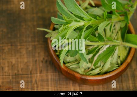 Stevia rebaudiana.Stevia grüner Zweig in trockene Stevia Blätter auf einem hölzernen Hintergrund.Steviosid Süßstoff.Blick von oben.Stevia plants.Organic Stockfoto