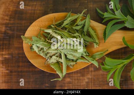 Steviosid Süßstoff.Stevia grüner Zweig in trockene Stevia Blätter in einem Holzlöffel auf einem hölzernen braunen Hintergrund.Blick von oben.Stevia plants.Organic Stockfoto