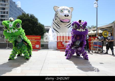 Sydney, Australien. 27th. Januar 2022. Das Chatswood Lunar New Year Festival feiert das Jahr des Tigers mit einem einmonatigen Programm aus Comedy, Kunst, Essen und Musik, das vom 27. Januar bis zum 20. Februar 2022 stattfindet. Im Bild: Löwentanz auf der Halle. Kredit: Richard Milnes/Alamy Live Nachrichten Stockfoto