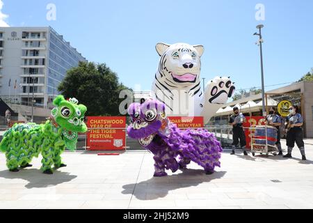 Sydney, Australien. 27th. Januar 2022. Das Chatswood Lunar New Year Festival feiert das Jahr des Tigers mit einem einmonatigen Programm aus Comedy, Kunst, Essen und Musik, das vom 27. Januar bis zum 20. Februar 2022 stattfindet. Im Bild: Löwentanz auf der Halle. Kredit: Richard Milnes/Alamy Live Nachrichten Stockfoto