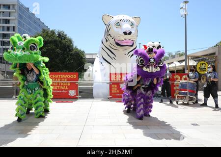 Sydney, Australien. 27th. Januar 2022. Das Chatswood Lunar New Year Festival feiert das Jahr des Tigers mit einem einmonatigen Programm aus Comedy, Kunst, Essen und Musik, das vom 27. Januar bis zum 20. Februar 2022 stattfindet. Im Bild: Löwentanz auf der Halle. Kredit: Richard Milnes/Alamy Live Nachrichten Stockfoto