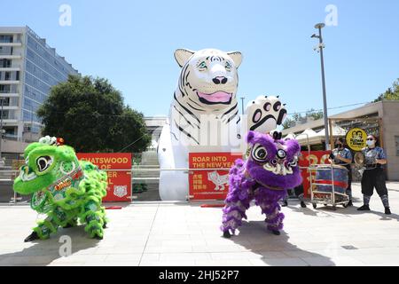 Sydney, Australien. 27th. Januar 2022. Das Chatswood Lunar New Year Festival feiert das Jahr des Tigers mit einem einmonatigen Programm aus Comedy, Kunst, Essen und Musik, das vom 27. Januar bis zum 20. Februar 2022 stattfindet. Im Bild: Löwentanz auf der Halle. Kredit: Richard Milnes/Alamy Live Nachrichten Stockfoto