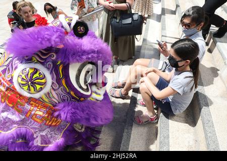 Sydney, Australien. 27th. Januar 2022. Das Chatswood Lunar New Year Festival feiert das Jahr des Tigers mit einem einmonatigen Programm aus Comedy, Kunst, Essen und Musik, das vom 27. Januar bis zum 20. Februar 2022 stattfindet. Im Bild: Löwentanz auf der Halle. Kredit: Richard Milnes/Alamy Live Nachrichten Stockfoto