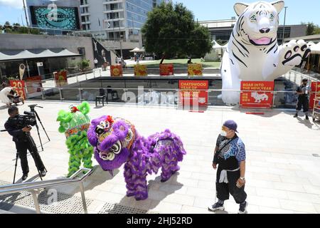 Sydney, Australien. 27th. Januar 2022. Das Chatswood Lunar New Year Festival feiert das Jahr des Tigers mit einem einmonatigen Programm aus Comedy, Kunst, Essen und Musik, das vom 27. Januar bis zum 20. Februar 2022 stattfindet. Im Bild: Löwentanz auf der Halle. Kredit: Richard Milnes/Alamy Live Nachrichten Stockfoto