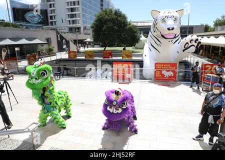 Sydney, Australien. 27th. Januar 2022. Das Chatswood Lunar New Year Festival feiert das Jahr des Tigers mit einem einmonatigen Programm aus Comedy, Kunst, Essen und Musik, das vom 27. Januar bis zum 20. Februar 2022 stattfindet. Im Bild: Löwentanz auf der Halle. Kredit: Richard Milnes/Alamy Live Nachrichten Stockfoto